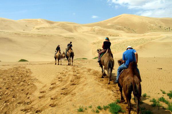 Camel 600x400 058